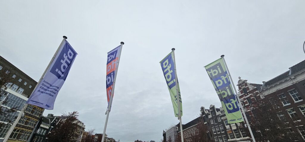 IDFA Flags in Amsterdam