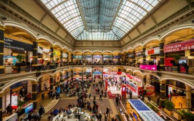 Berlin Bear Turns EFM into a Bull Market