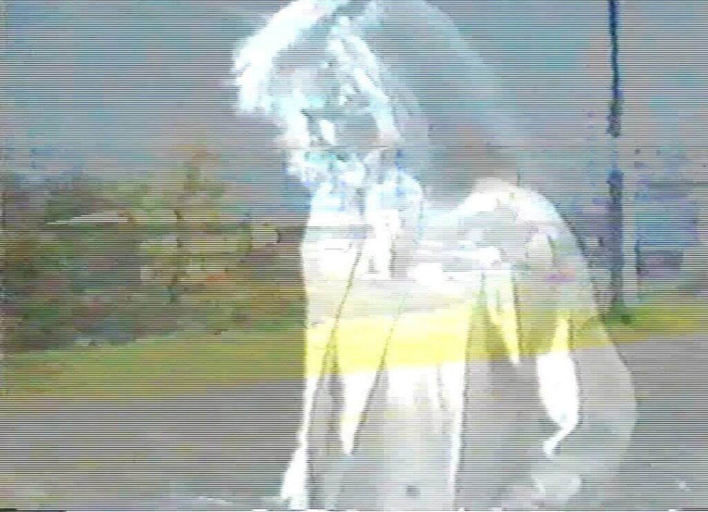 517939a8 3097 4e1b bba4 2b78263a708d Silence of Reason