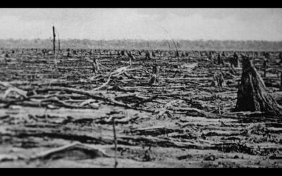 On Taphonomy
