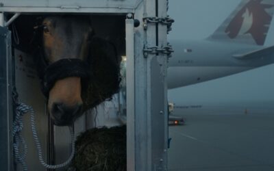 Air Horse One