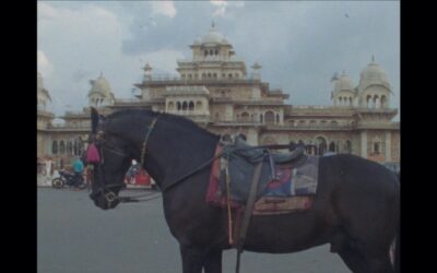 Amma ki Katha (My Amma’s Tale)