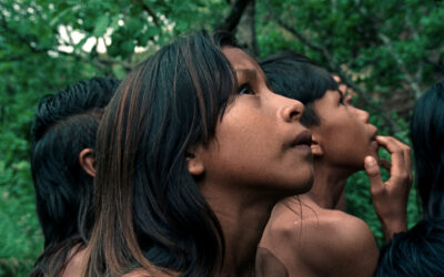 The Buriti Flower