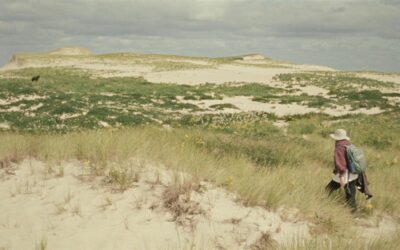 Geographies of Solitude