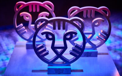 IFFR 2024: The Verdict