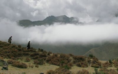 Lunana: A Yak in the Classroom