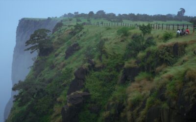 Murmurs of the Jungle