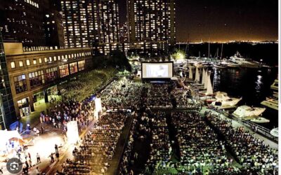 The Film Verdict Welcomes 2024