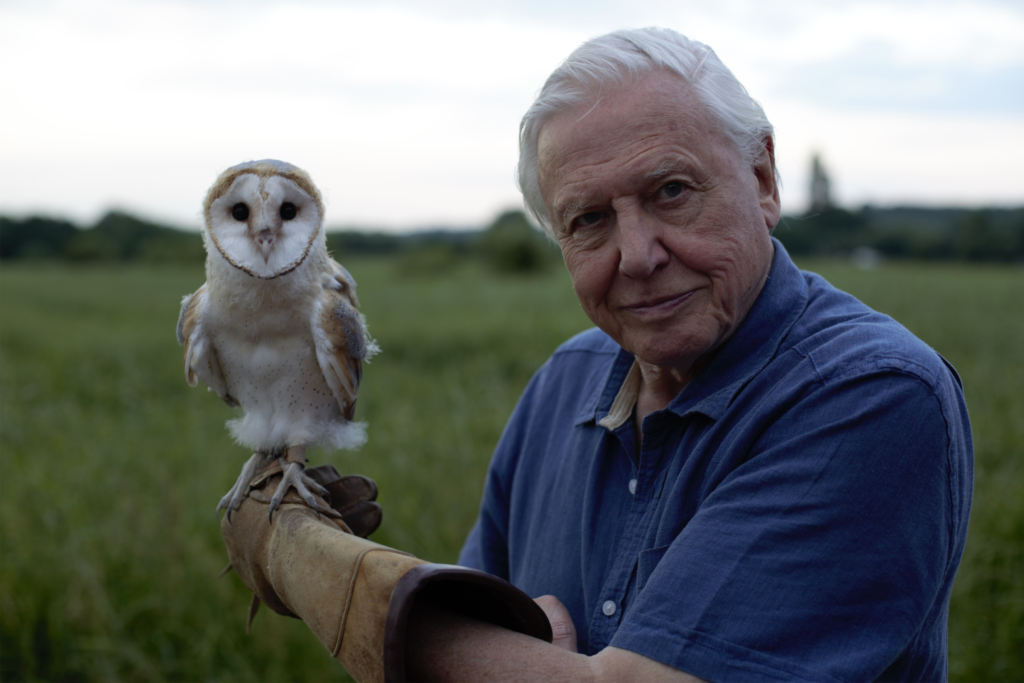 DAVID ATTENBOROUGH Venice Immersive: Bugs, Birds and Books